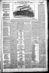 Sport (Dublin) Saturday 23 January 1886 Page 5