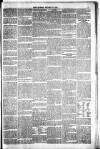 Sport (Dublin) Saturday 24 November 1888 Page 7