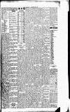 Sport (Dublin) Saturday 30 December 1905 Page 5