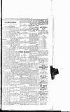 Sport (Dublin) Saturday 16 December 1916 Page 3