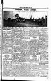 Sport (Dublin) Saturday 25 August 1917 Page 5