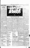 Sport (Dublin) Saturday 17 November 1917 Page 11