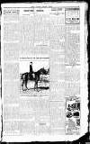 Sport (Dublin) Saturday 19 January 1918 Page 9