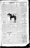 Sport (Dublin) Saturday 02 February 1918 Page 9