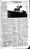 Sport (Dublin) Saturday 15 June 1918 Page 5