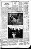 Sport (Dublin) Saturday 30 November 1918 Page 3