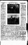 Sport (Dublin) Saturday 04 January 1919 Page 5