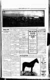 Sport (Dublin) Saturday 31 May 1919 Page 5