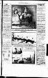 Sport (Dublin) Saturday 21 June 1919 Page 13