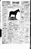 Sport (Dublin) Saturday 21 June 1919 Page 16