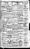 Sport (Dublin) Saturday 26 July 1919 Page 11