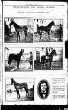 Sport (Dublin) Saturday 31 January 1920 Page 9
