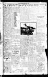 Sport (Dublin) Saturday 24 November 1923 Page 3