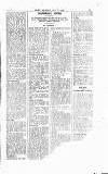 Sport (Dublin) Saturday 13 July 1929 Page 15
