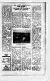Sport (Dublin) Saturday 23 November 1929 Page 3