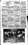 Sport (Dublin) Saturday 17 January 1931 Page 13