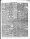 Munster News Wednesday 05 November 1851 Page 3