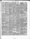 Munster News Wednesday 31 December 1851 Page 3