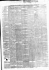 Munster News Saturday 30 January 1875 Page 3