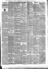 Munster News Saturday 03 February 1877 Page 3