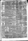 Munster News Wednesday 28 March 1877 Page 3