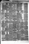 Munster News Wednesday 09 January 1878 Page 3