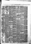 Munster News Saturday 19 January 1878 Page 3