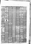 Munster News Saturday 09 February 1878 Page 3