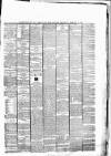 Munster News Wednesday 13 February 1878 Page 3