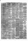 Munster News Saturday 09 March 1878 Page 4