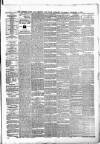 Munster News Wednesday 11 December 1878 Page 3