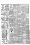 Munster News Saturday 21 December 1878 Page 3