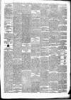 Munster News Wednesday 07 January 1880 Page 3