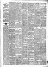 Munster News Wednesday 28 January 1880 Page 3