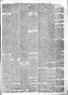 Munster News Saturday 01 May 1880 Page 3