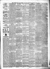 Munster News Wednesday 19 May 1880 Page 3