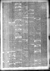 Munster News Saturday 02 April 1881 Page 3