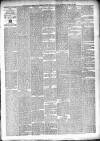 Munster News Saturday 23 April 1881 Page 3