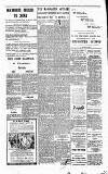 Munster News Wednesday 15 January 1930 Page 4