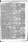 Lisburn Standard Saturday 09 August 1884 Page 5