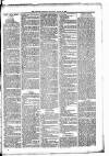 Lisburn Standard Saturday 16 August 1884 Page 3