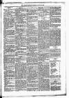 Lisburn Standard Saturday 16 August 1884 Page 5