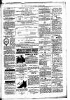 Lisburn Standard Saturday 16 August 1884 Page 7