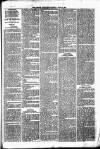 Lisburn Standard Saturday 25 July 1885 Page 3
