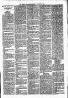 Lisburn Standard Saturday 20 February 1886 Page 3