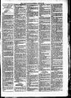 Lisburn Standard Saturday 20 March 1886 Page 3