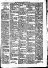 Lisburn Standard Saturday 03 April 1886 Page 3