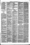 Lisburn Standard Saturday 10 April 1886 Page 3
