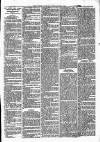 Lisburn Standard Saturday 01 May 1886 Page 3