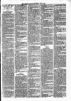 Lisburn Standard Saturday 12 June 1886 Page 3